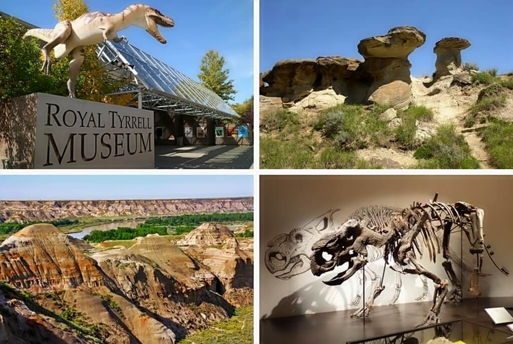 Коллаж из четырех картинок с динозаврами.