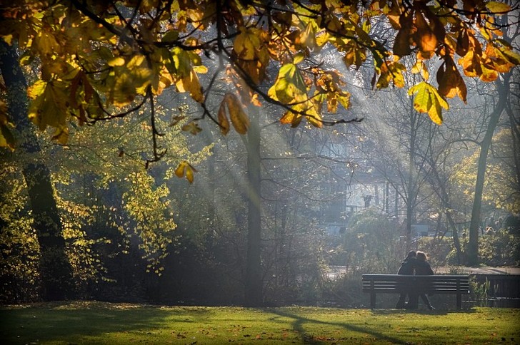 Достопримечательности нидерланды