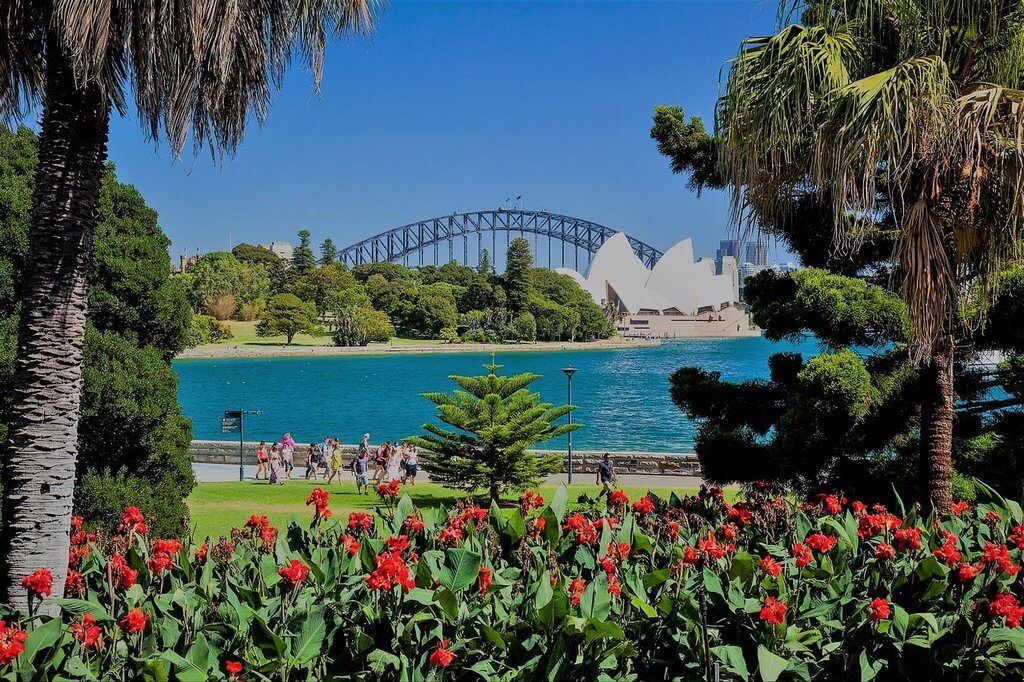 Королевский ботанический сад Сиднея, пальмы и клумбы с цветами.