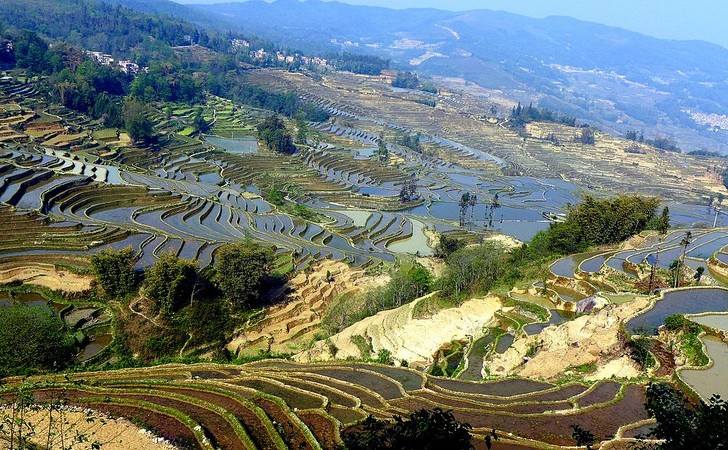Рисовые террасы Хунхэ-Хани.