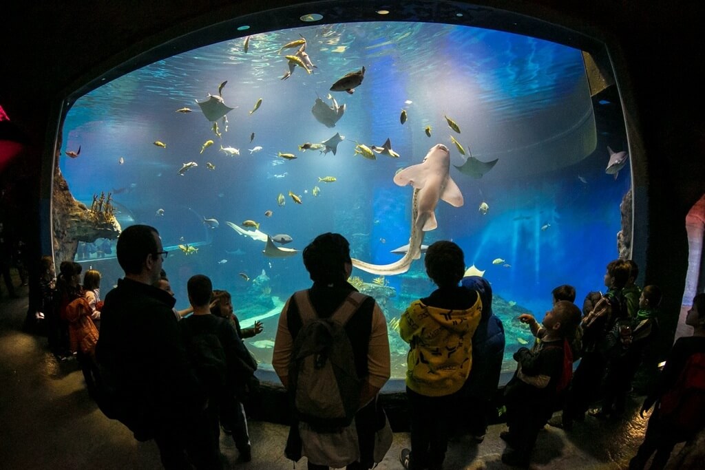 Люди наблюдают за рыбками в большом аквариуме.