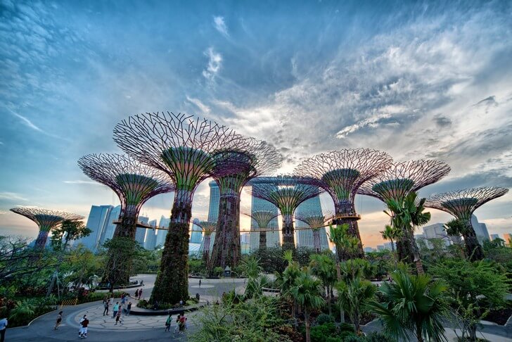 Сады у залива (Gardens by the Bay).