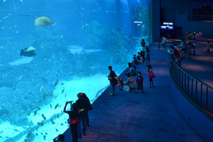 Морская Жизнь (Marine Life Park).