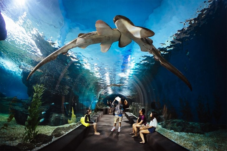 Аквариум Siam Ocean World в Бангкоке.