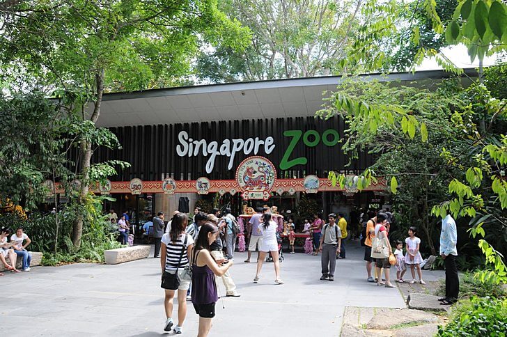 Зоопарк Сингапура (Singapore Zoo).