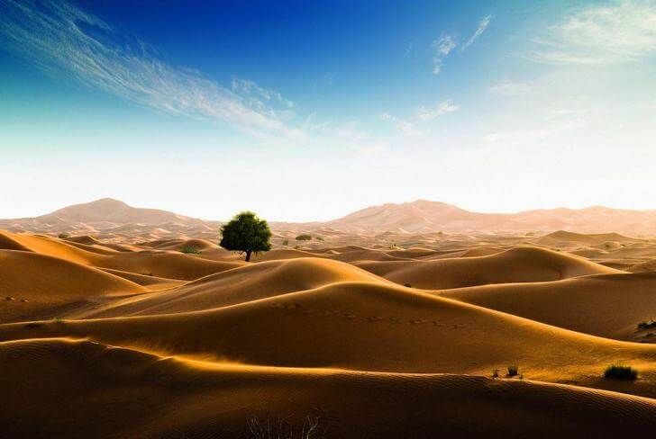 Пустыня Руб-эль-Хали.