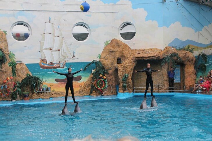 Одесский городской дельфинарий.