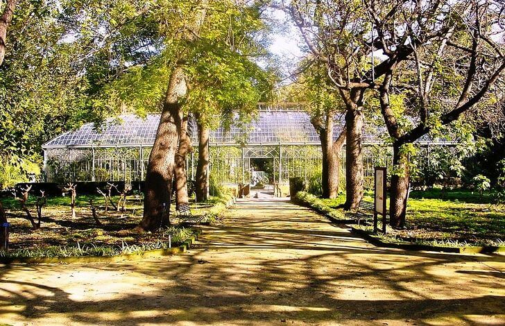 Ботанический сад Палермо.