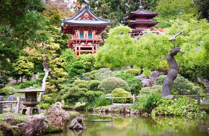 Японский чайный сад.