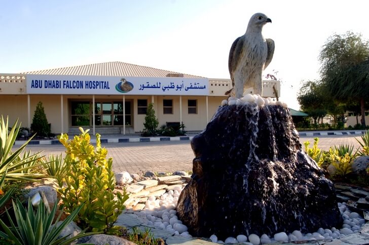 Соколиный госпиталь Абу-Даби.