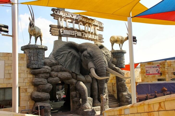 Зоопарк Абу-Даби.