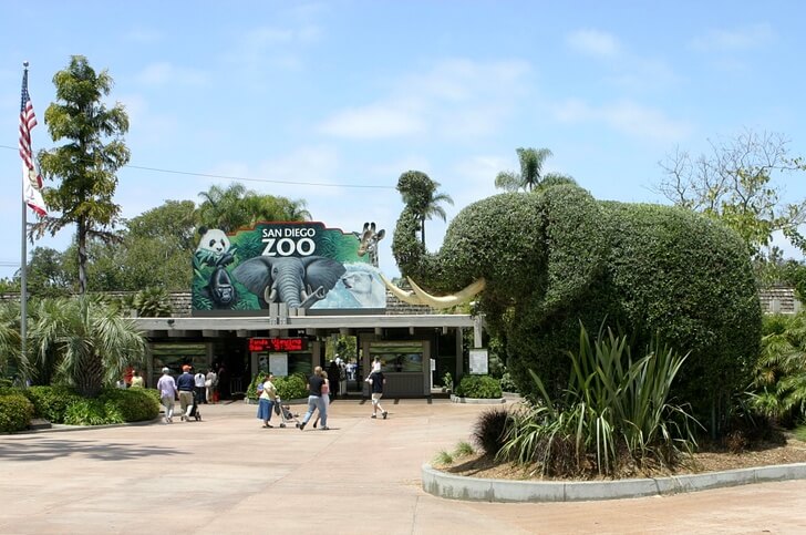 Зоопарк Сан-Диего.