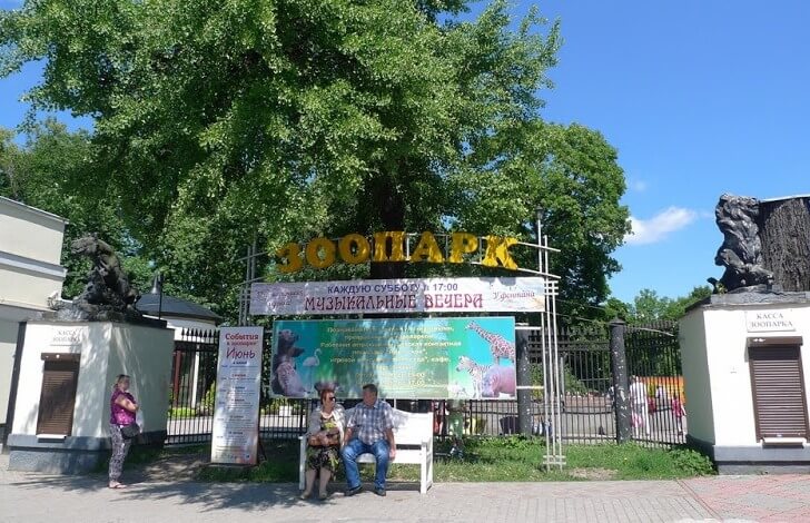 Калининградский зоопарк.