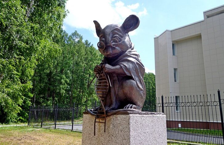 Памятник лабораторной мыши.