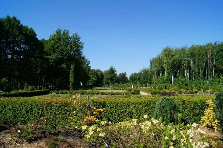 Ботанический сад-институт ПГТУ.