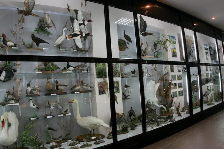 Музей природы Карадага.