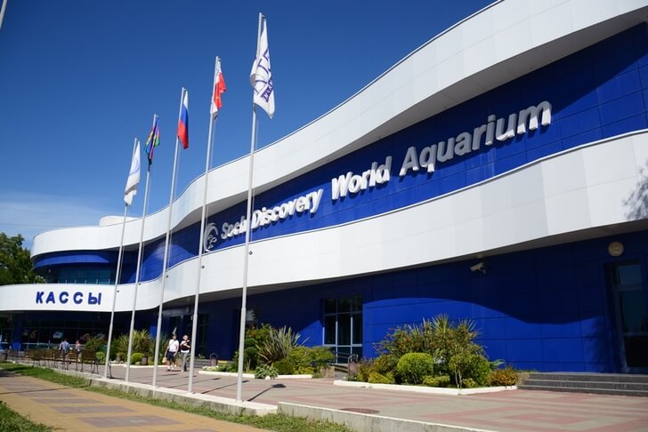 Sochi Discovery World Aquarium.