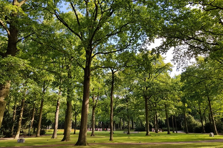 Городской парк (Stadswandelpark).