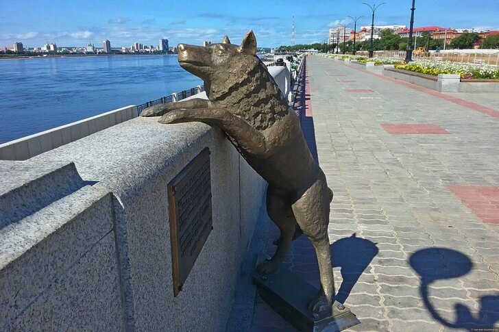 Памятник собаке по кличке Дружок.