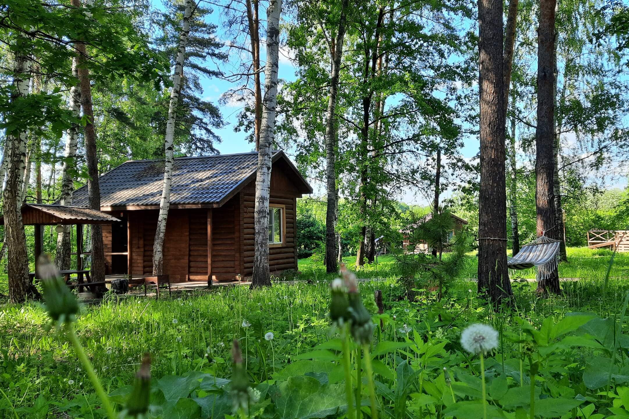 База отдыха «Шавская долина».