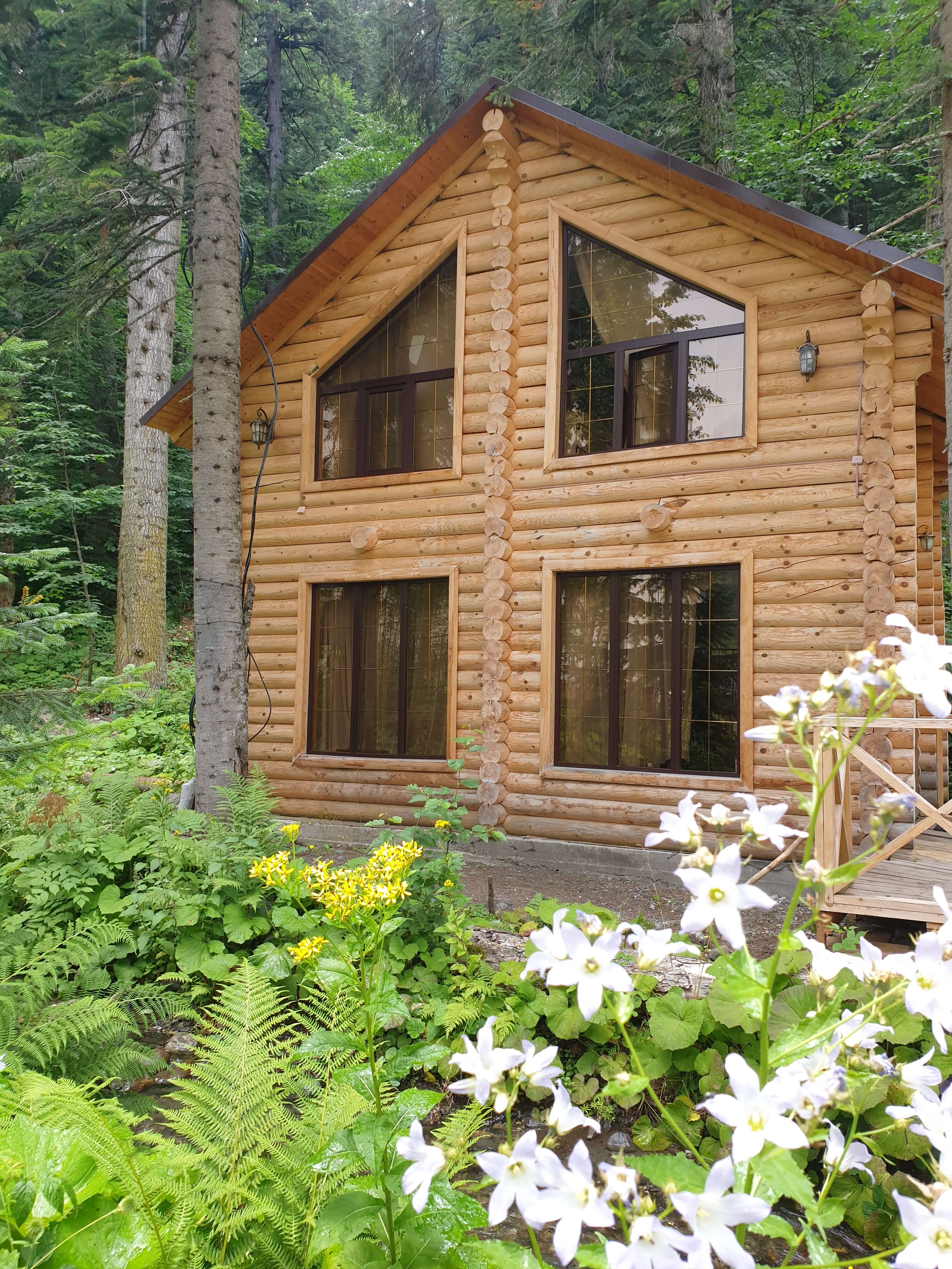 Домик в лесу.