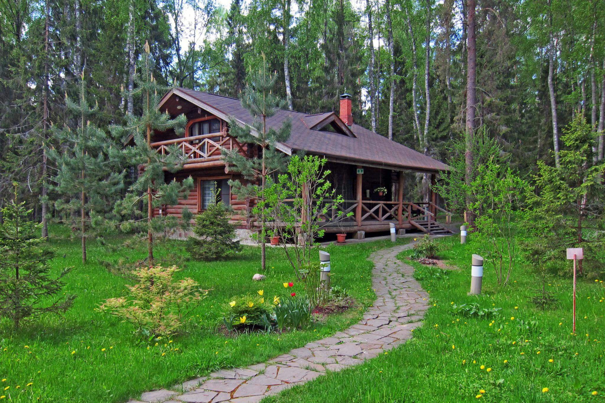 Романов лес.