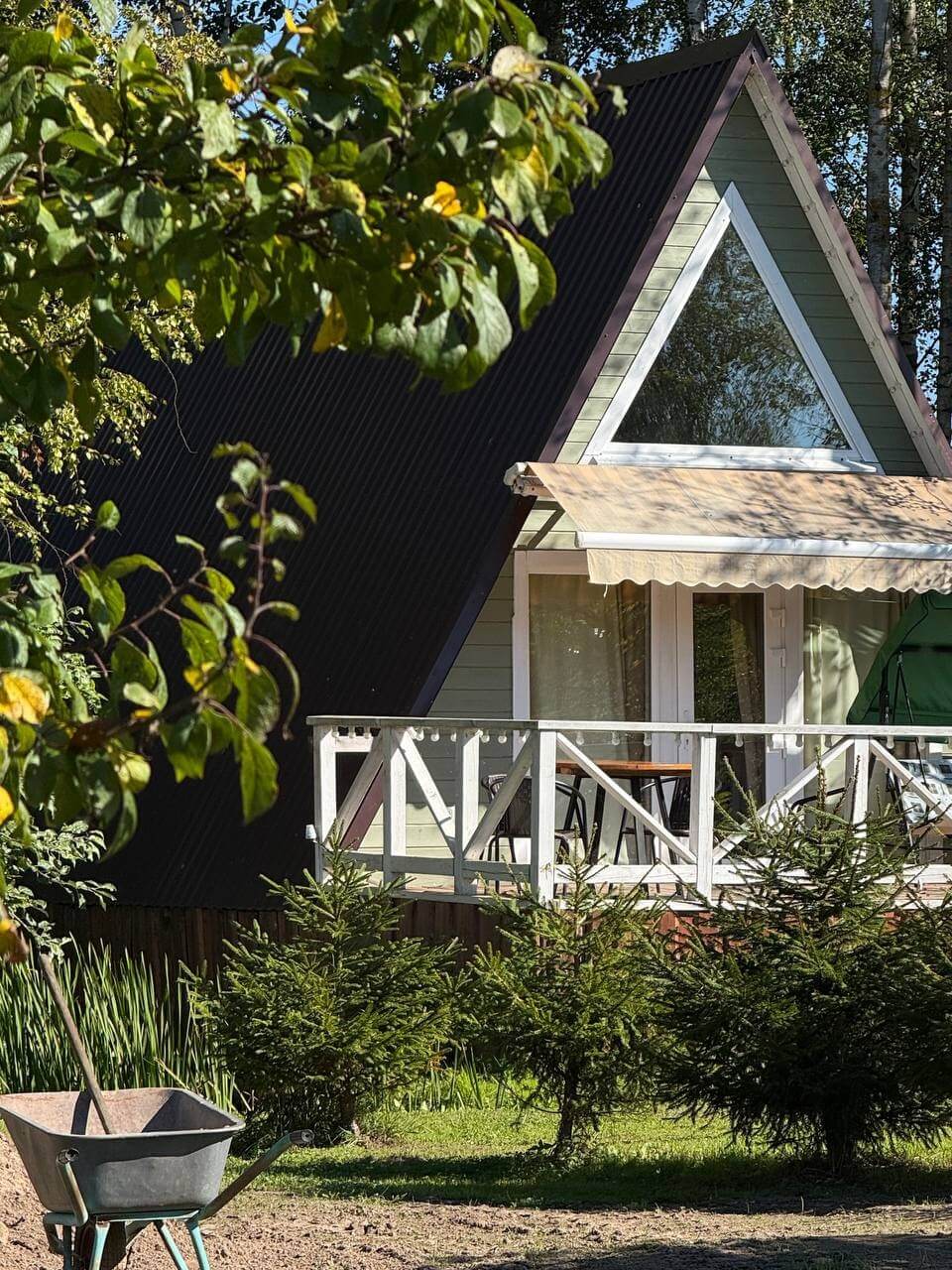 Моисеевичи Life.